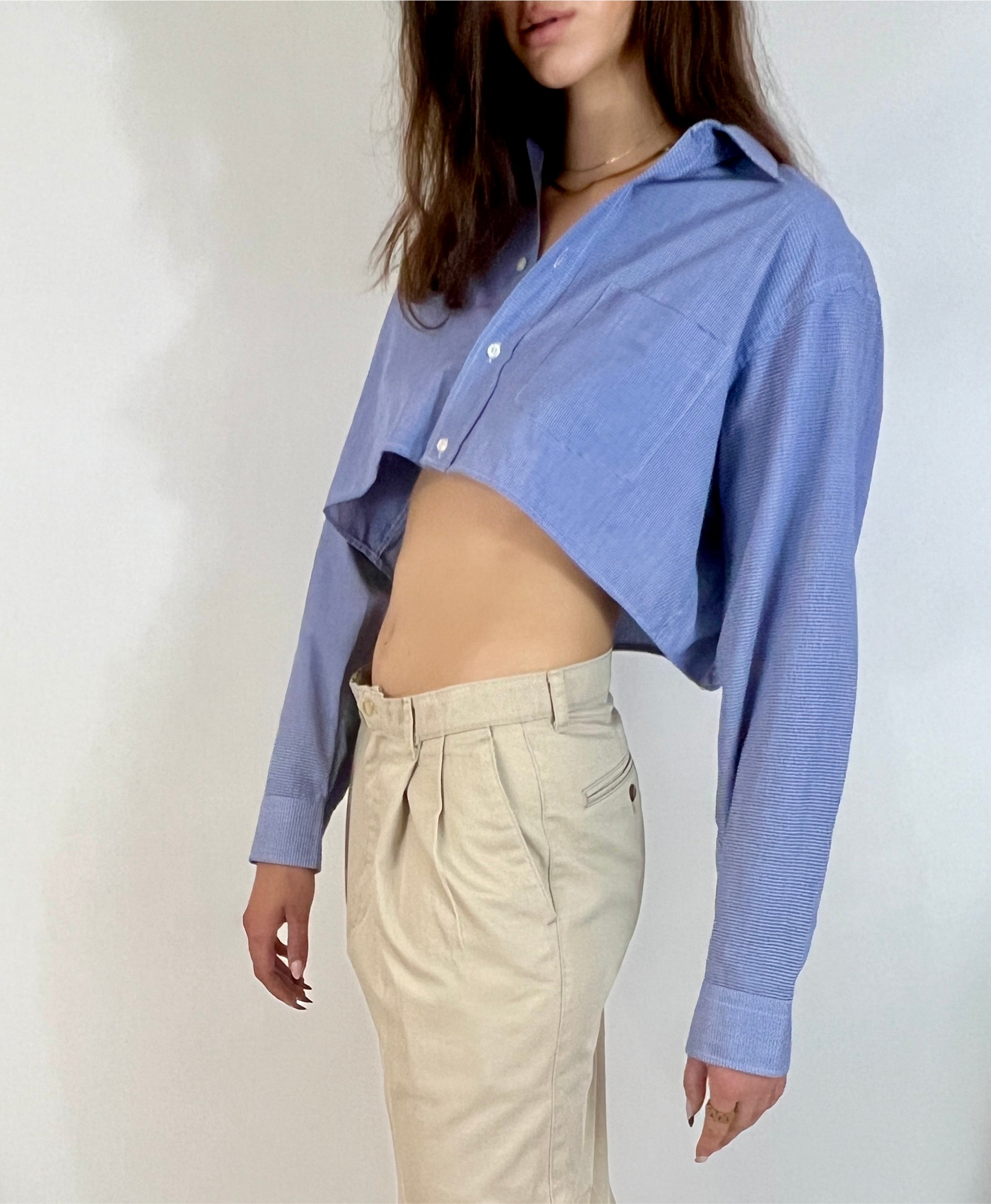 CUSTOM VTG COTTON OXFORD, BLUE & WHITE MICRO PLAID. CROPPED