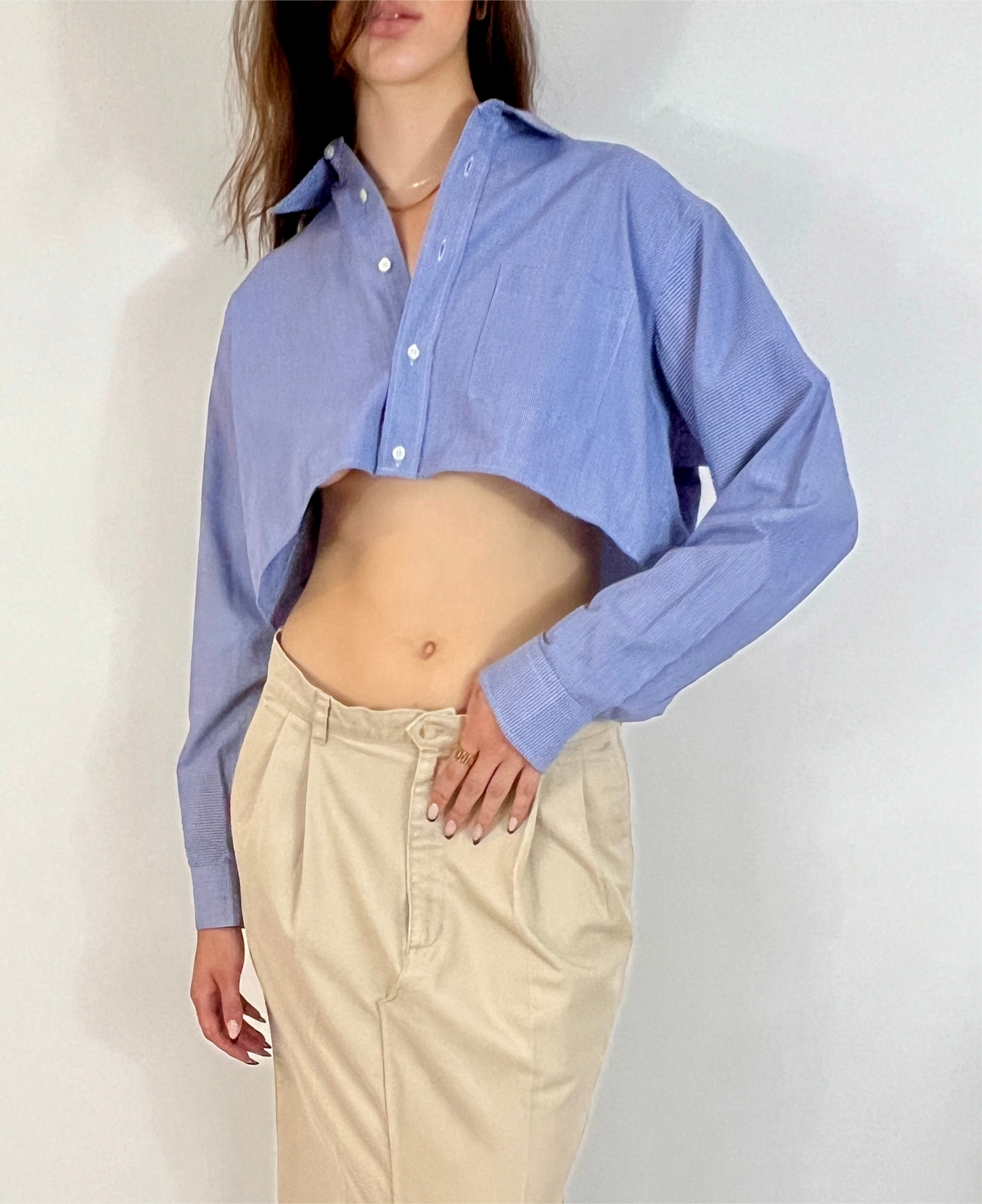CUSTOM VTG COTTON OXFORD, BLUE & WHITE MICRO PLAID. CROPPED